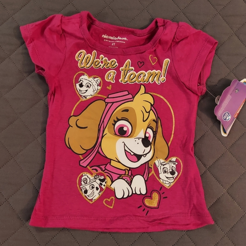 2 Nickelodeon Pink Paw Patrol Kids T-Shirts